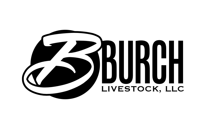 Screenshot 2023-12-25 at 2.46.51 PM